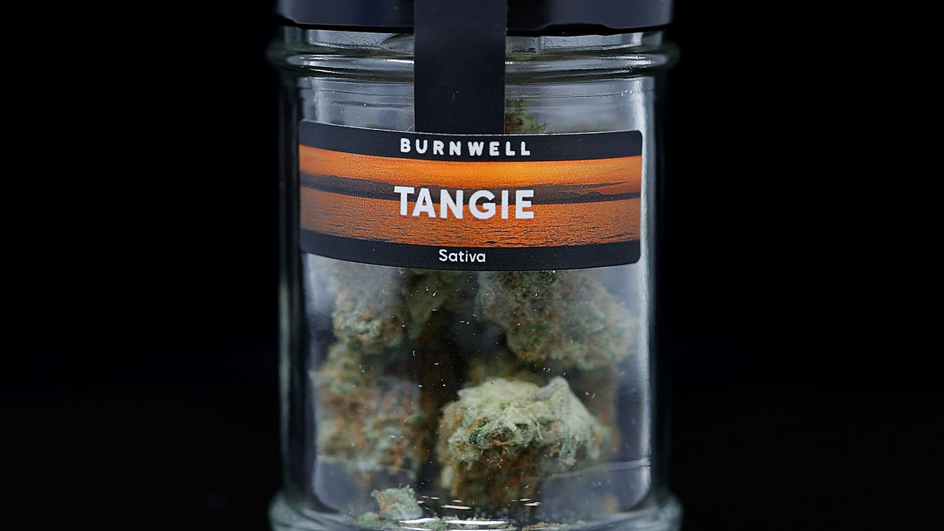 Burnwell Tangie